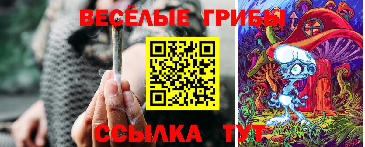 Псилоцибиновые грибы Magic Shrooms Магадан