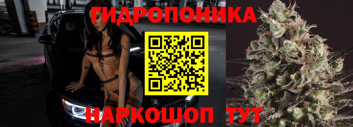 Шишки марихуана семена Магадан